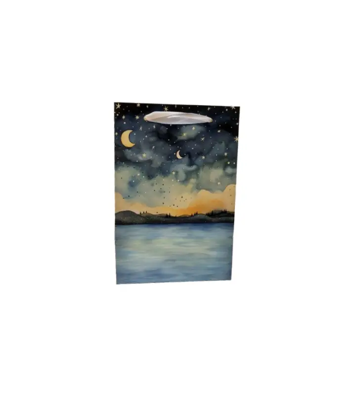 عکس شماره:1 , ساک هدیه سایز (13.5*20*10) بسته 4 عددی (فروش عمده / خرده)