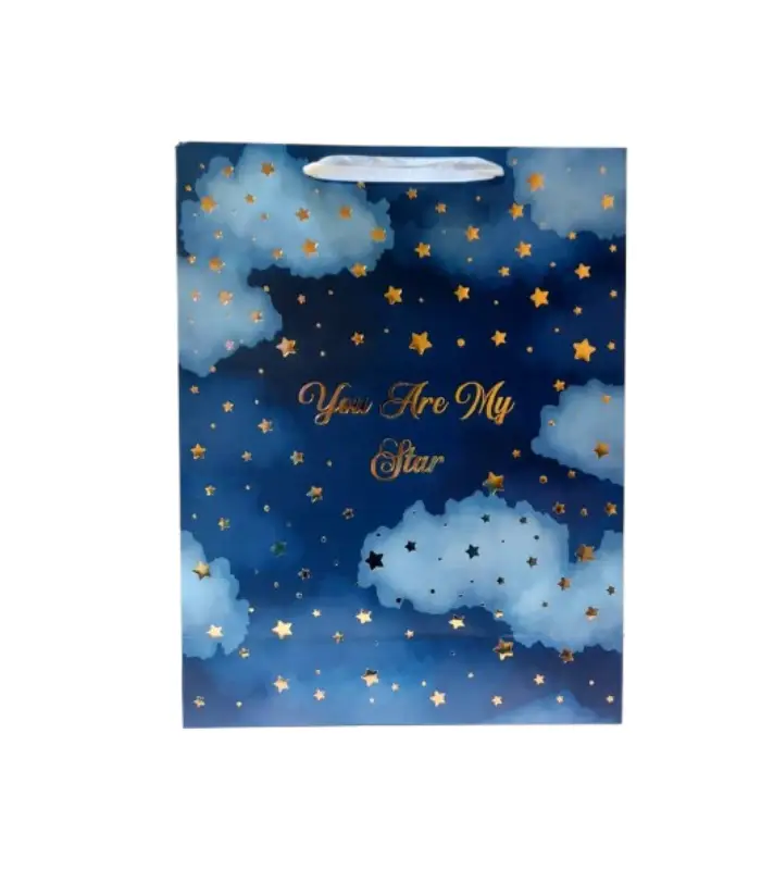 عکس شماره:1 , ساک هدیه کد 746225 بسته 4 عددی (فروش عمده / خرده)