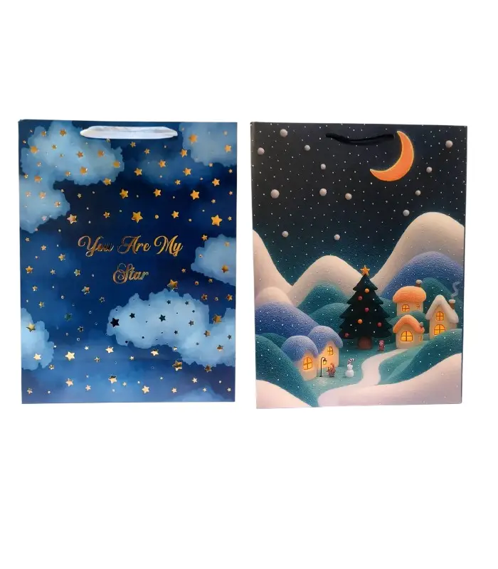 عکس اصلی ساک هدیه کد 746225 بسته 4 عددی (فروش عمده / خرده)